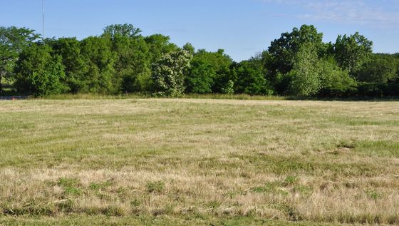 Common Land 